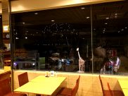 国立科学博物館　ランチ