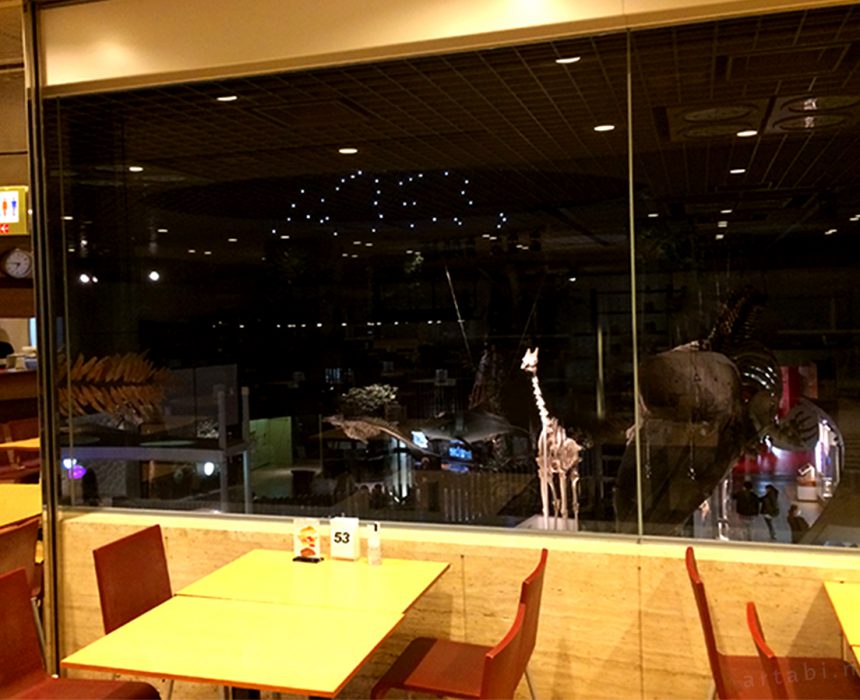 国立科学博物館　ランチ